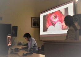 Netradiční Malá pardubická Video Surgery nabídla pohled na moderní oční operativu