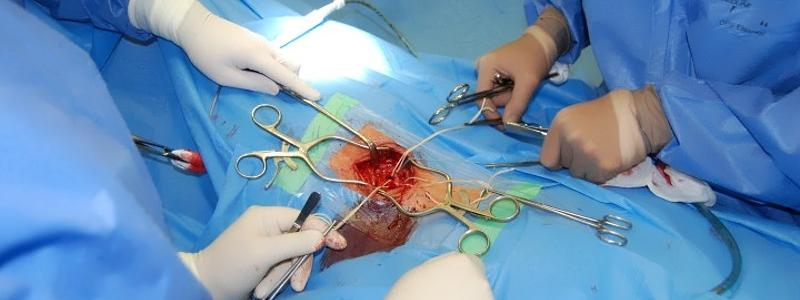 Oddělení cévní a plastické chirurgie Pardubické nemocnice oslavilo 5 let