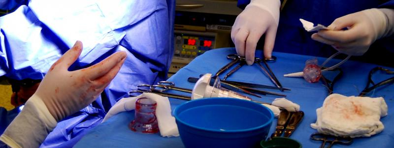 Chirurgická klinika uspořádala 9. pracovní den Sekce mladých chirurgů