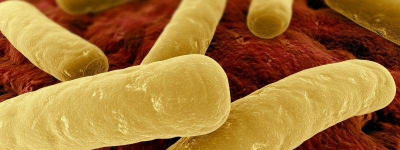 Krajský seminář upozornil na infekce způsobené bakterií Clostridium difficile